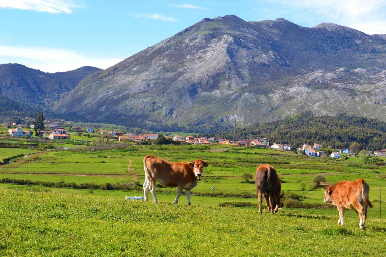 Casa Palo Balcon A Picos De Europa Villa Arriondas Bagian luar foto